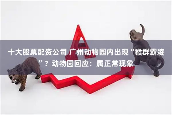 十大股票配资公司 广州动物园内出现“猴群霸凌”？动物园回应：属正常现象