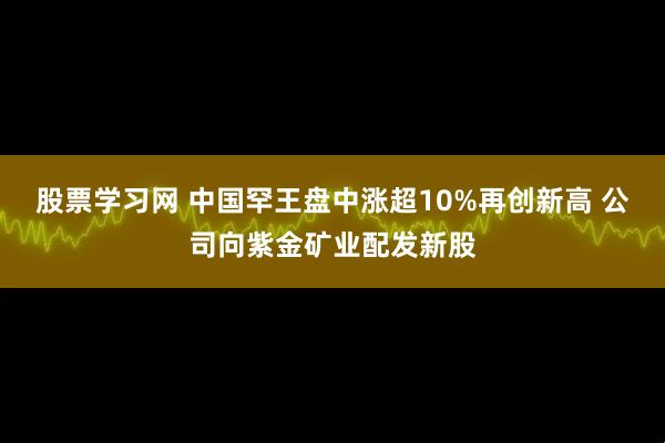 股票学习网 中国罕王盘中涨超10%再创新高 公司向紫金矿业配发新股